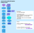 Pienoiskuva 22. marraskuuta 2009 kello 13.41 tallennetusta versiosta